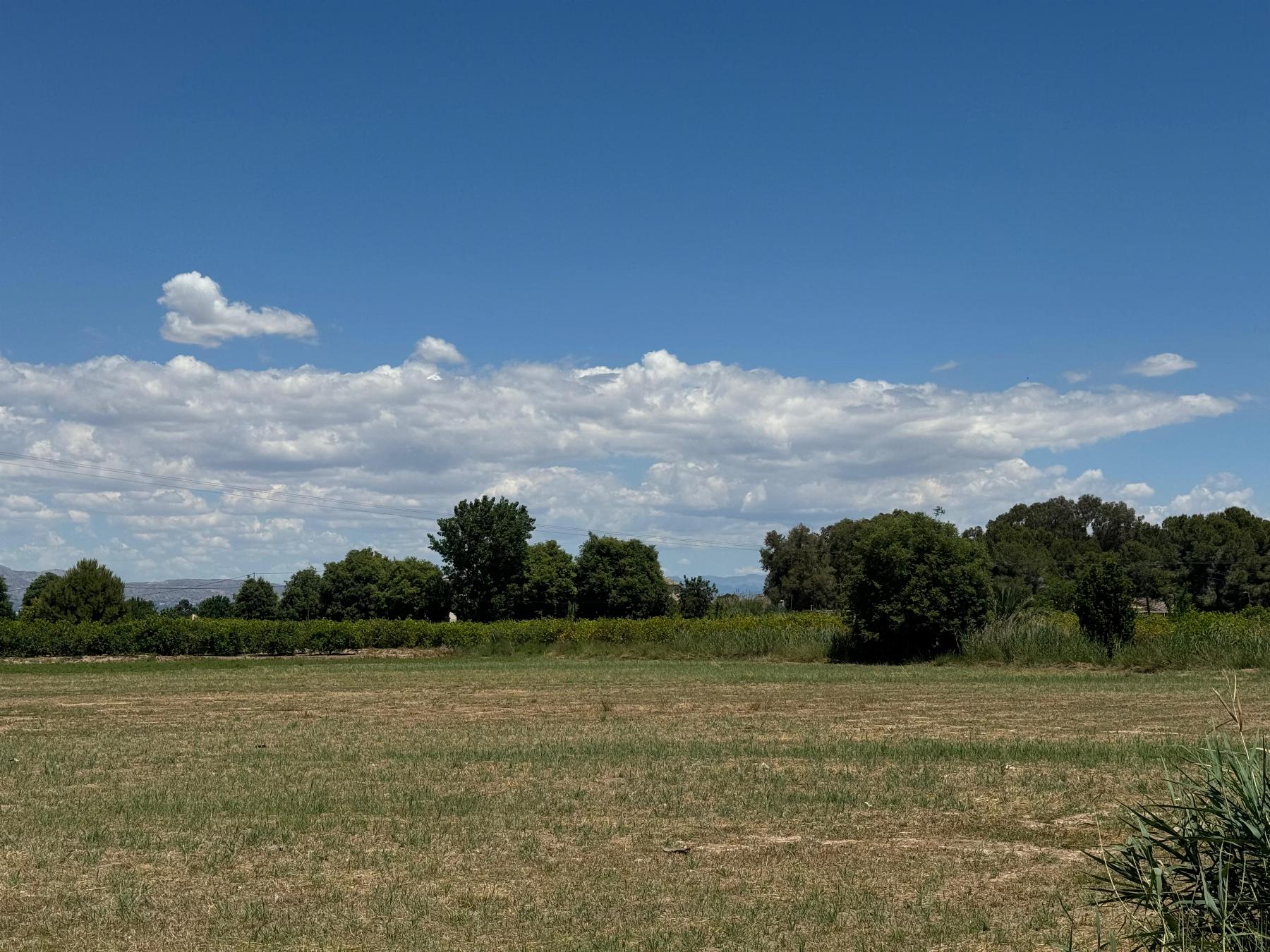 Apartamento en venta en Almoradí