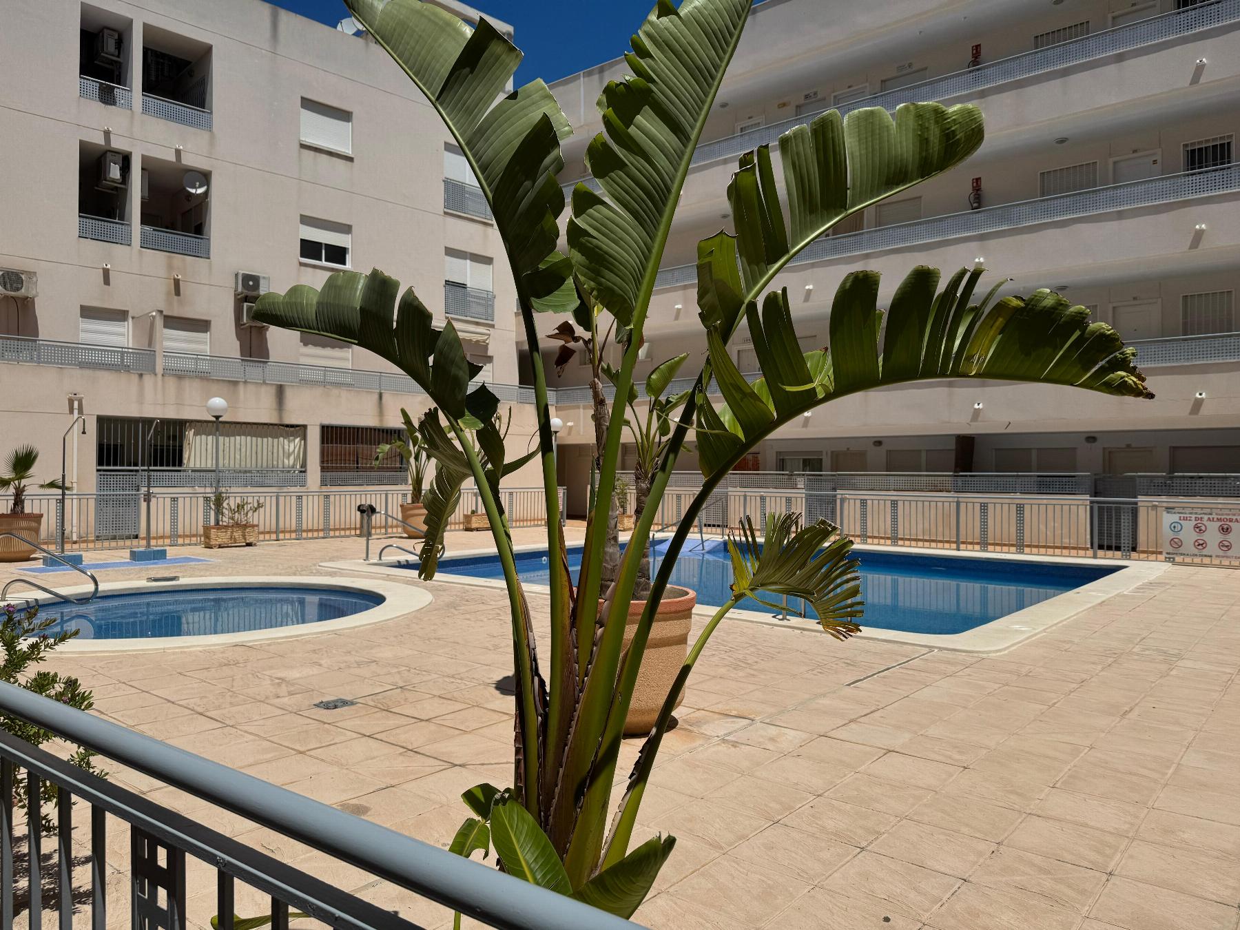 Apartamento en venta en Almoradí