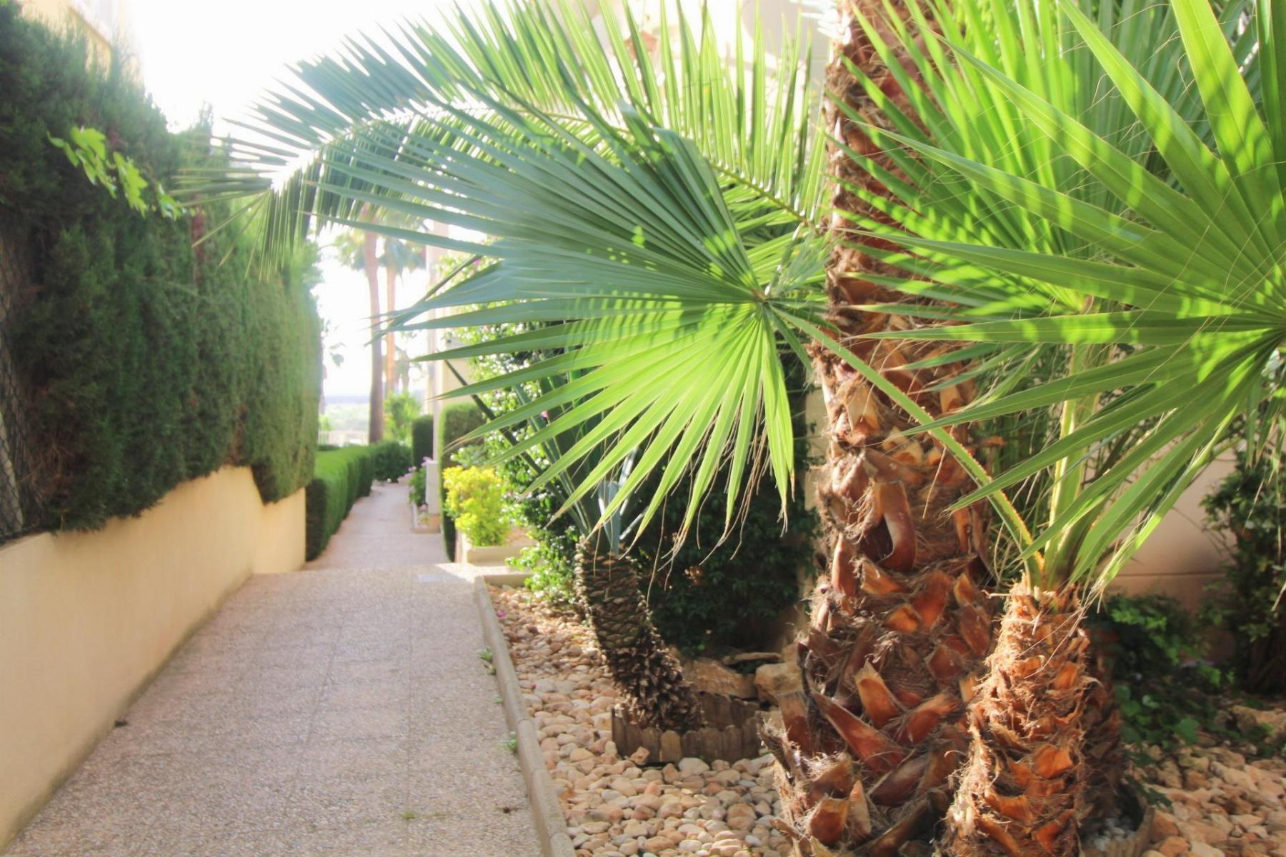 Petit Appartement en vente à Torrevieja