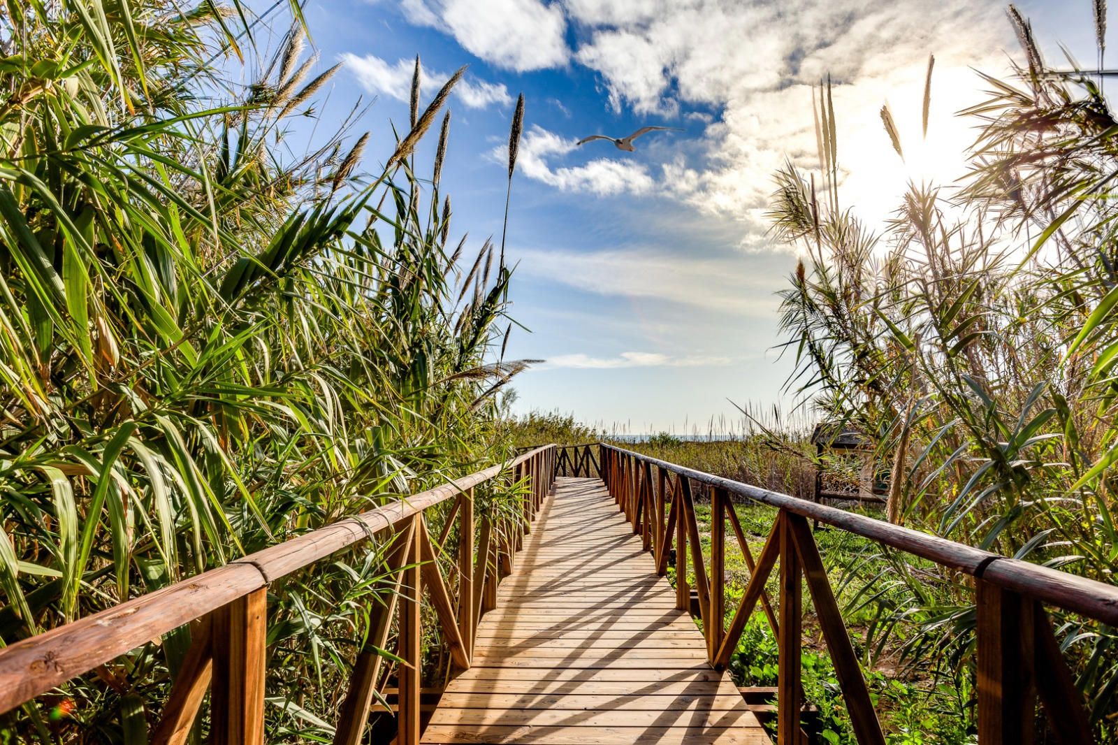 Płaski na sprzedaż w Torrevieja