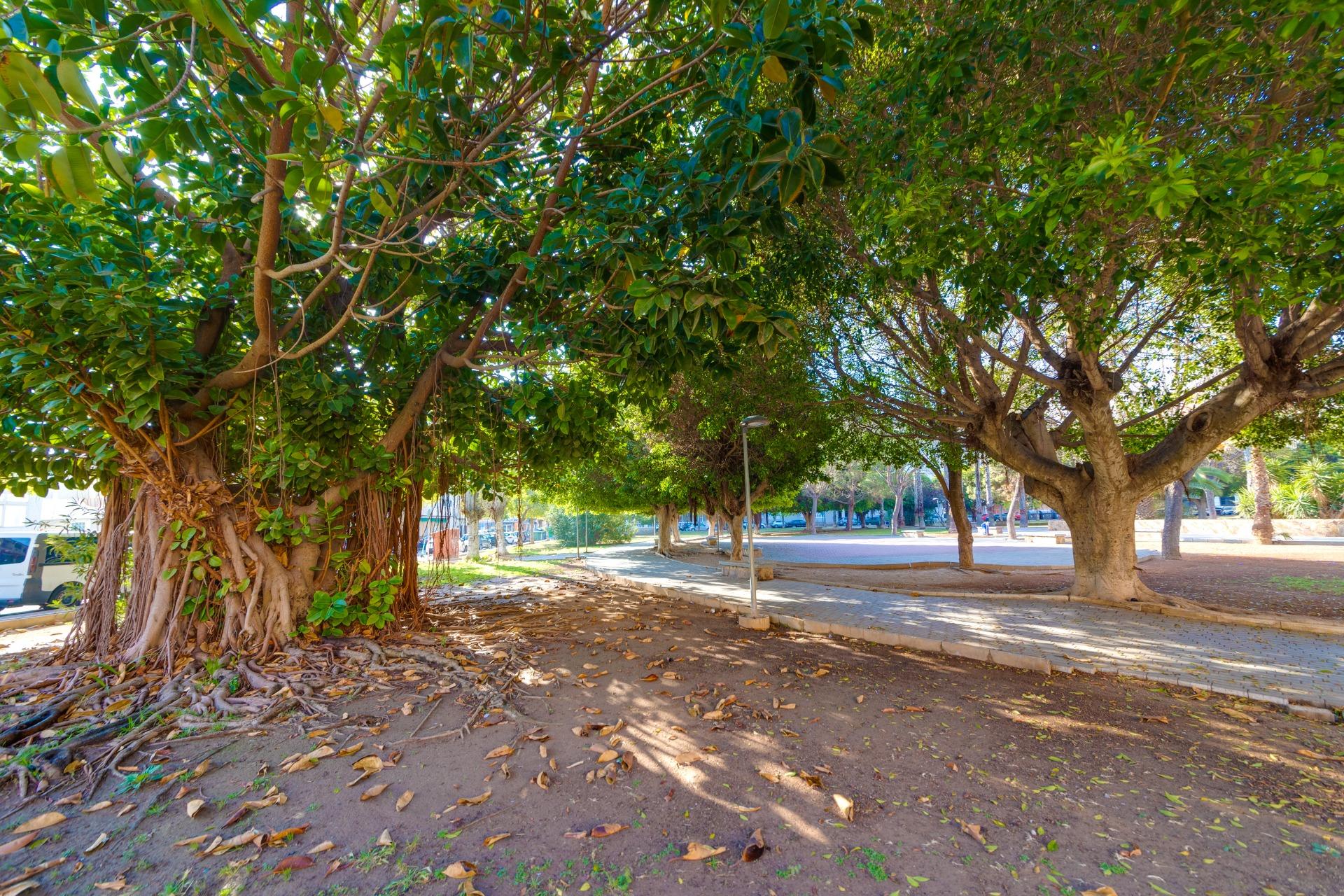 Ático en venta en Torrevieja