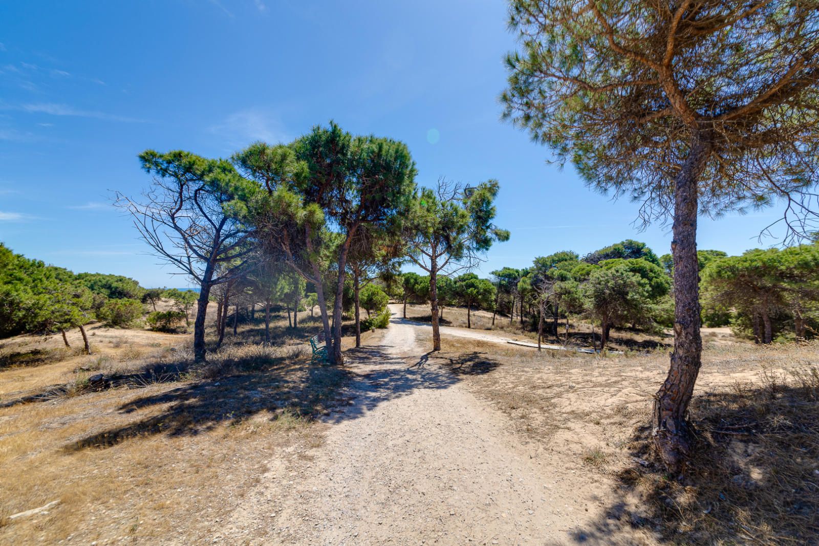 Apartamento en venta en Guardamar del Segura