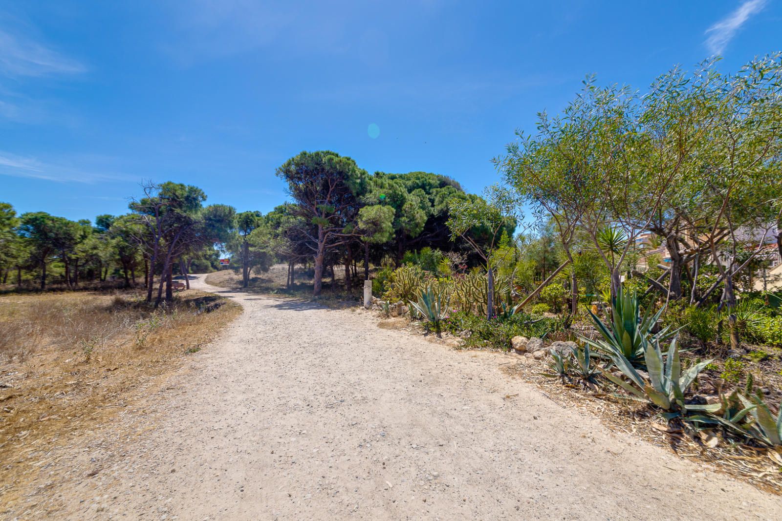 Apartamento en venta en Guardamar del Segura