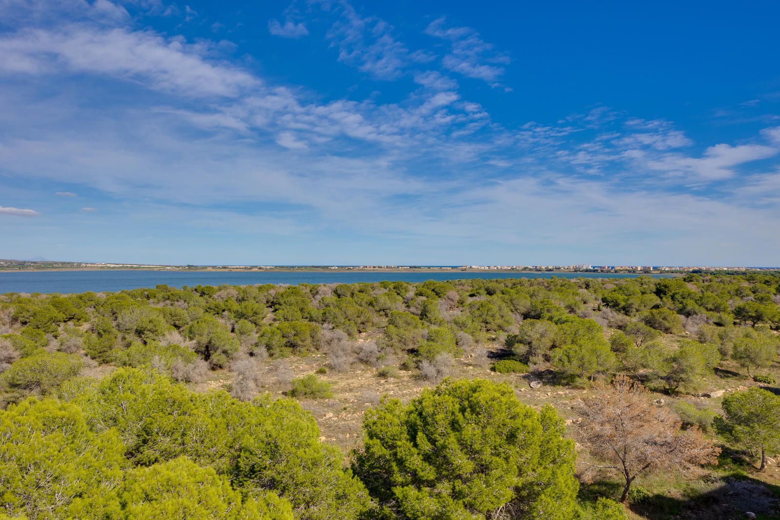 Apartamento en venta en Torrevieja