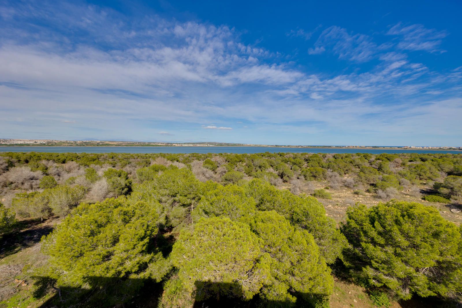 Apartamento en venta en Torrevieja