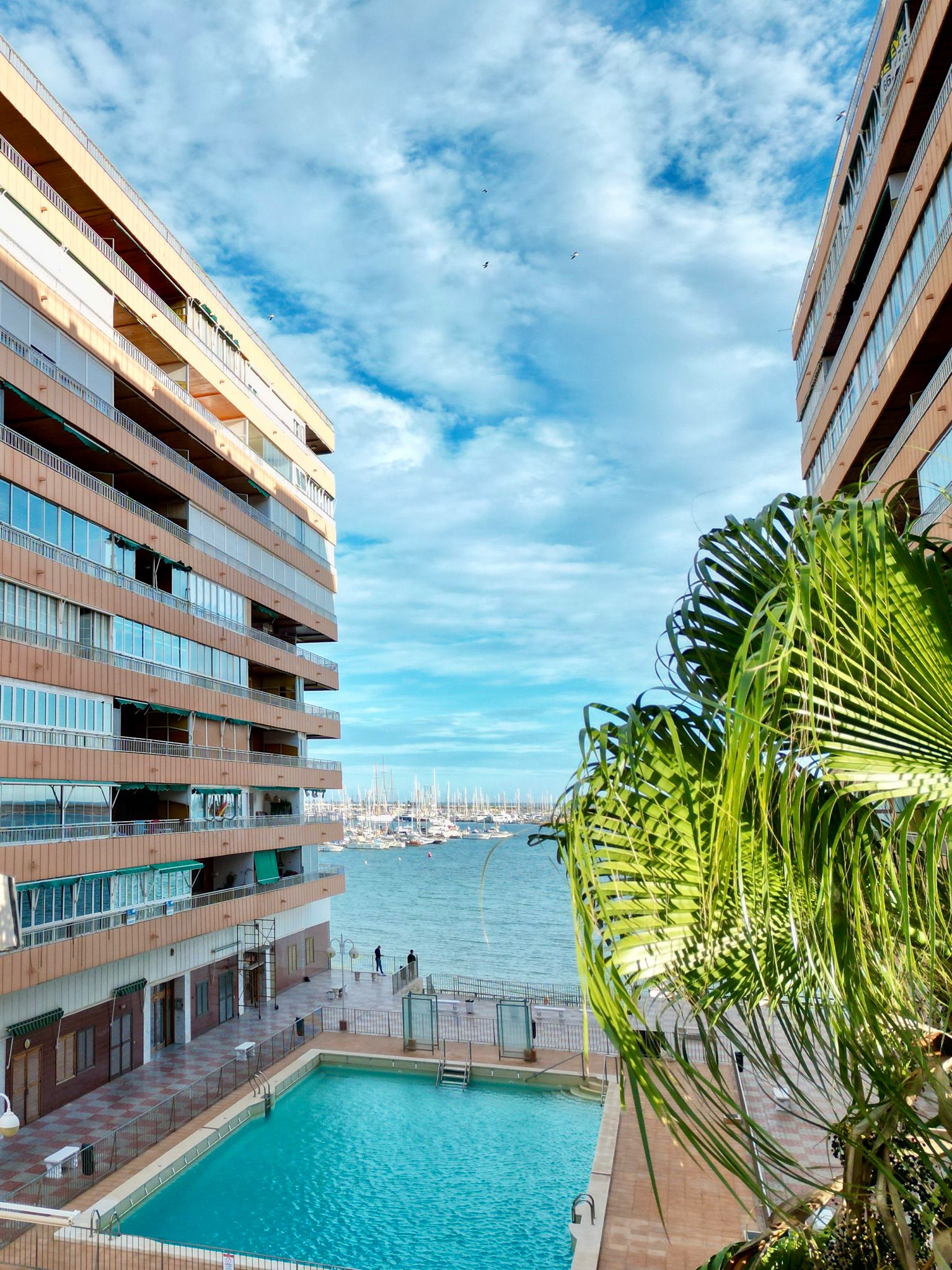 квартира в продаже в Torrevieja