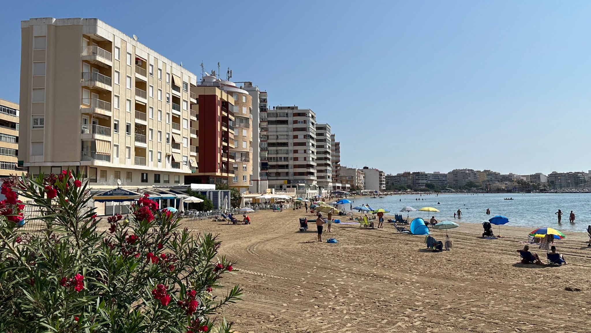 квартира в продаже в Torrevieja