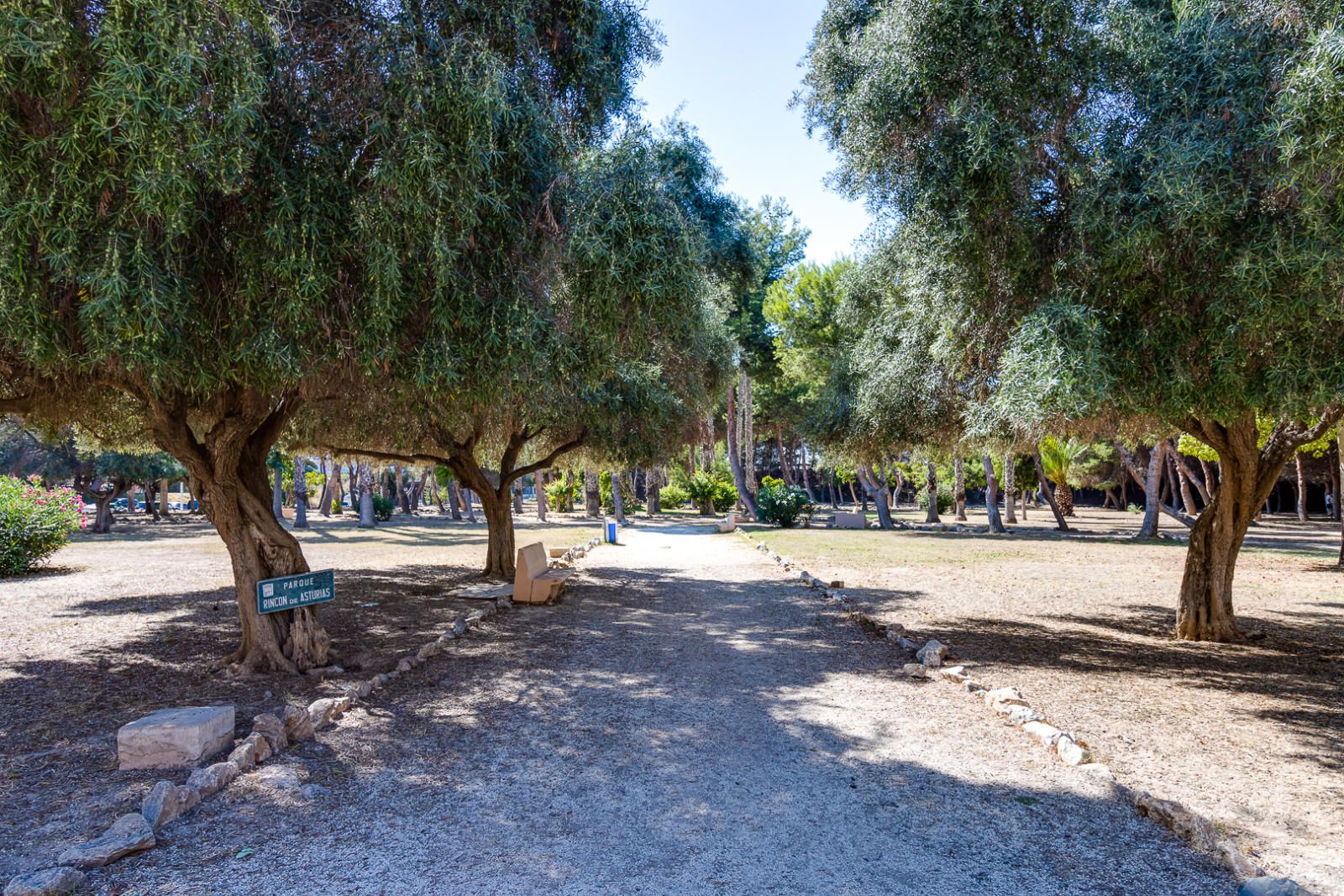 квартира в продаже в Torrevieja