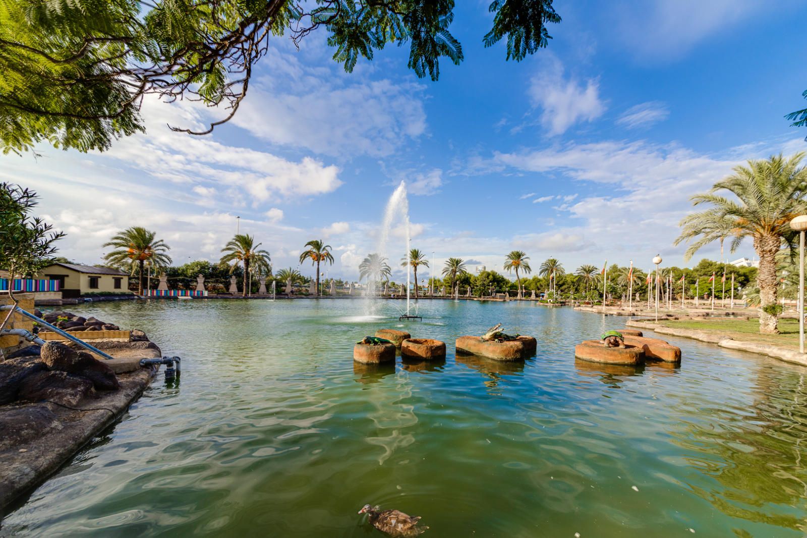 Penthouse til salg i Torrevieja