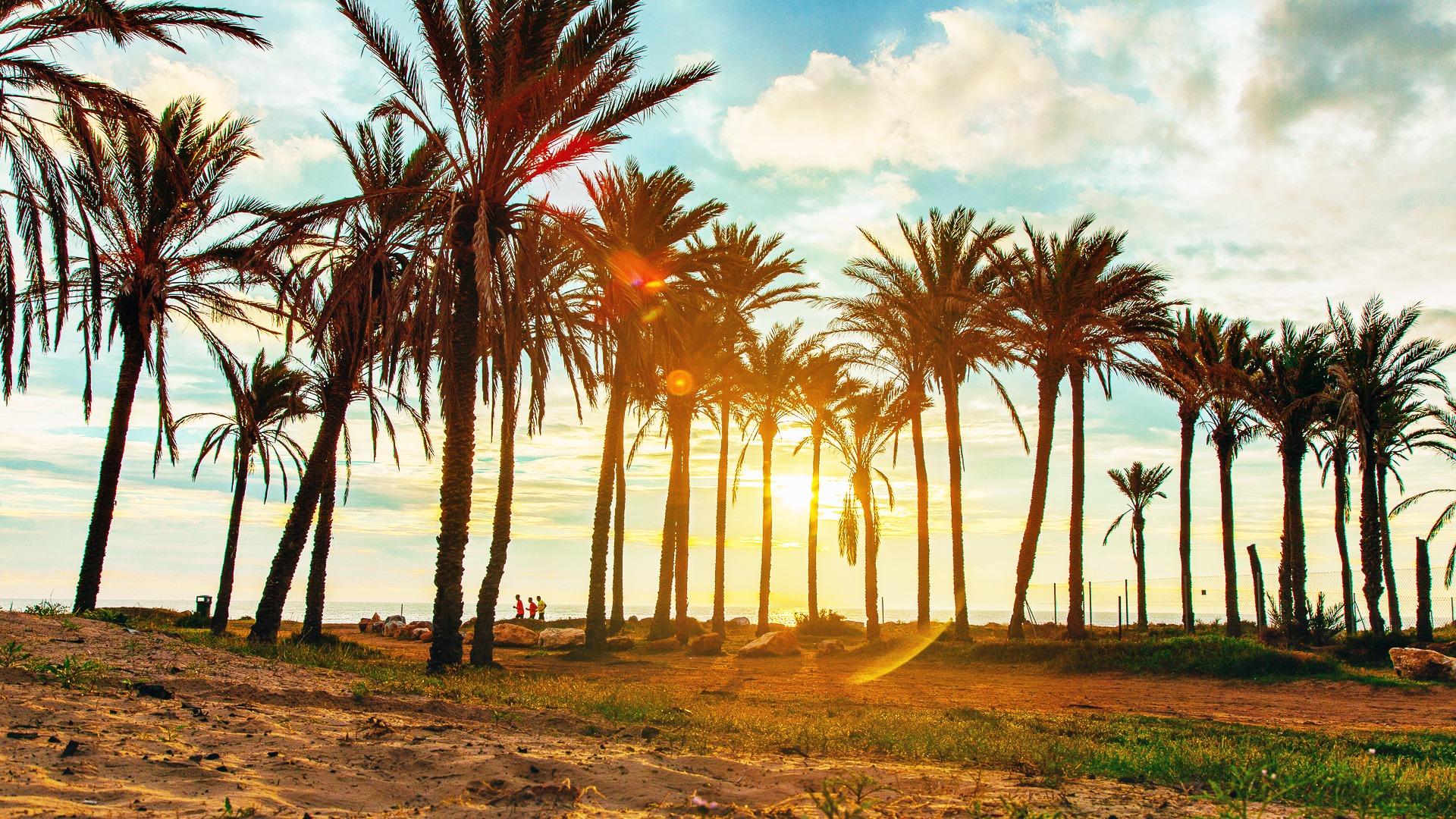 Penthouse zum verkauf in Torrevieja