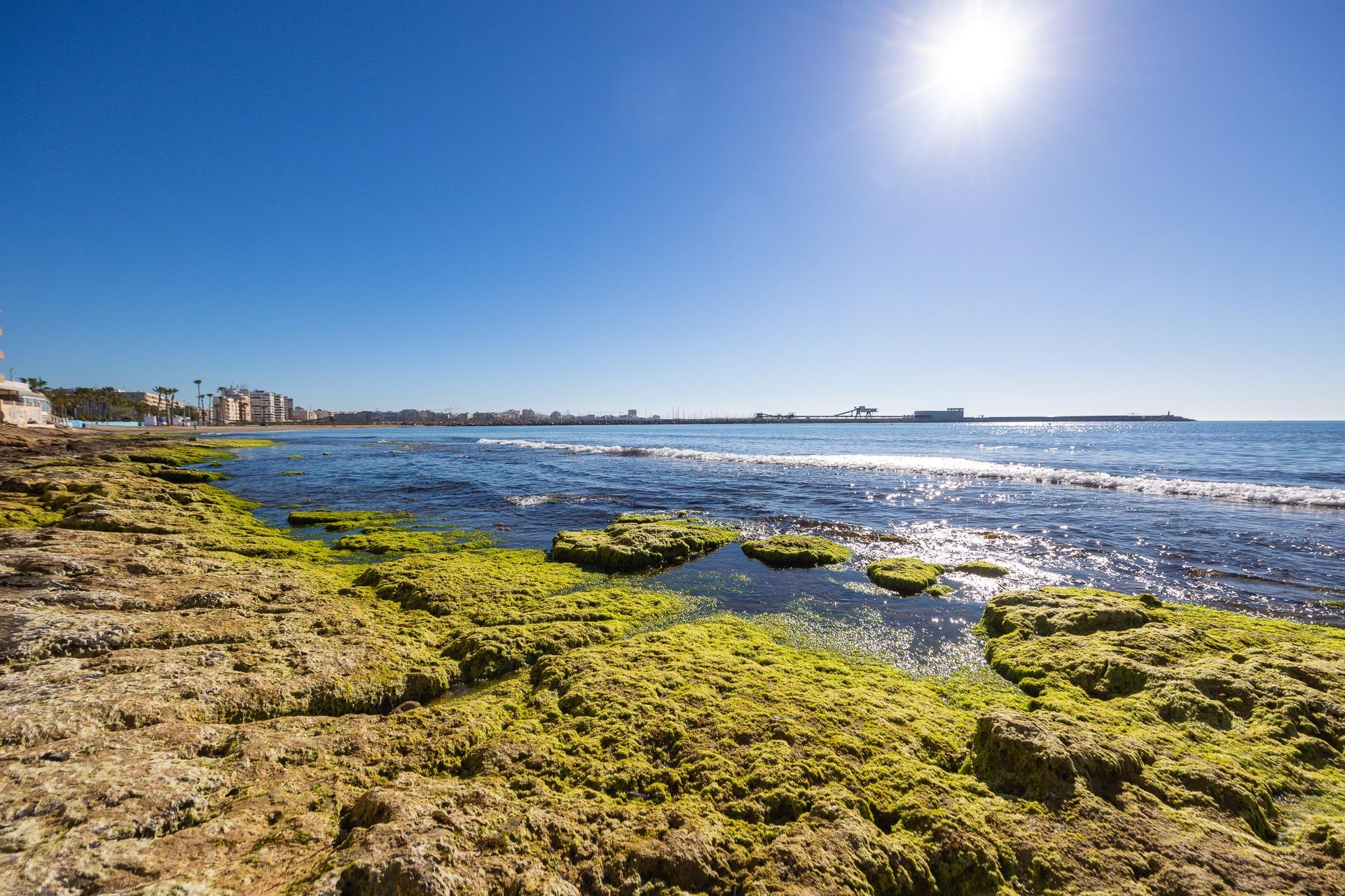 Bungalow til salgs til Torrevieja