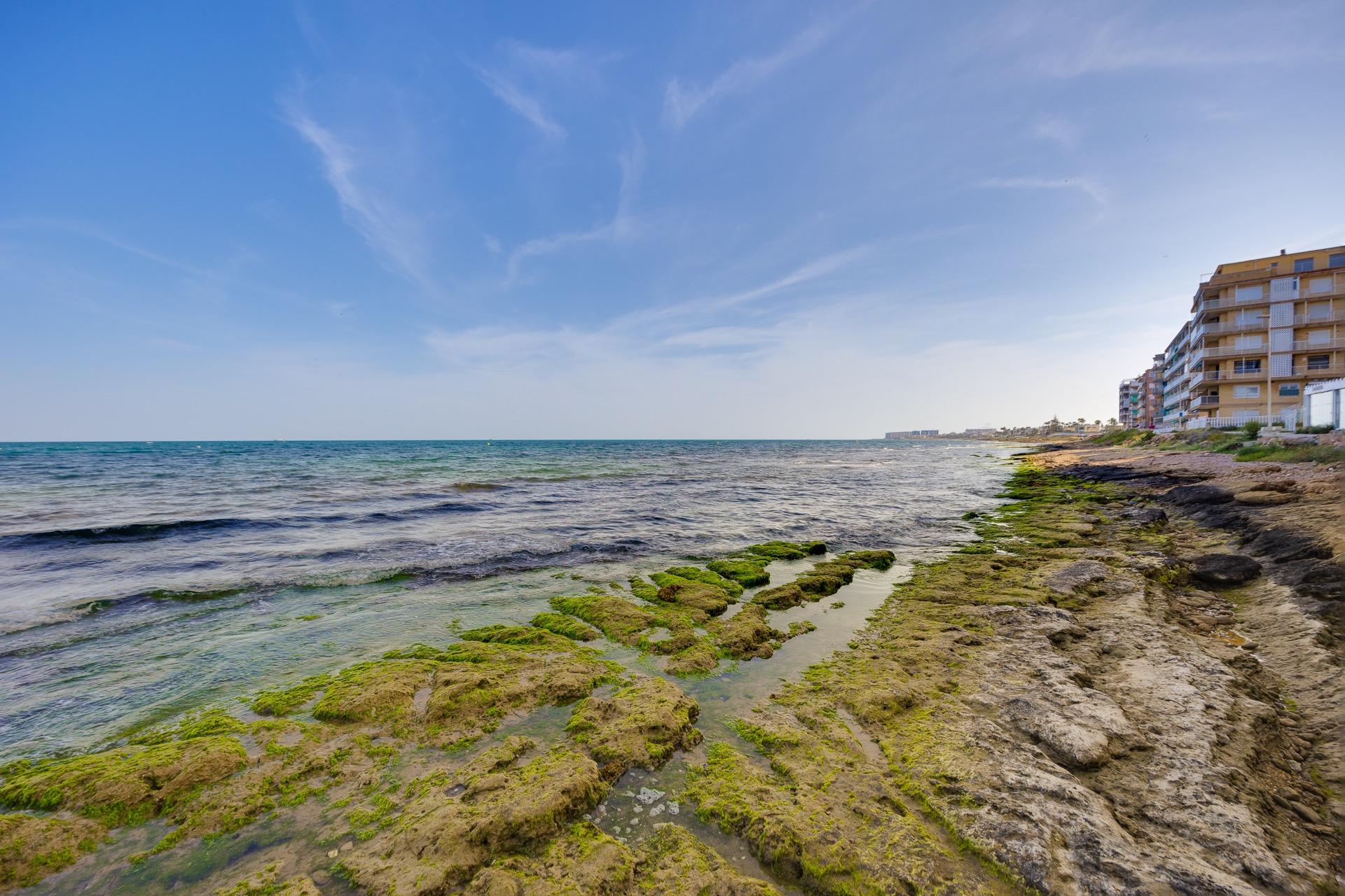 Takvåning till salu i Torrevieja