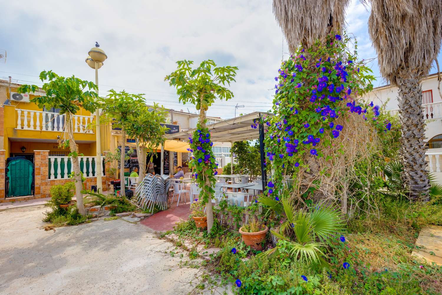 BAR I DRIFT MED UAFHÆNGIGT HUS I TORRETA II – TORREVIEJA