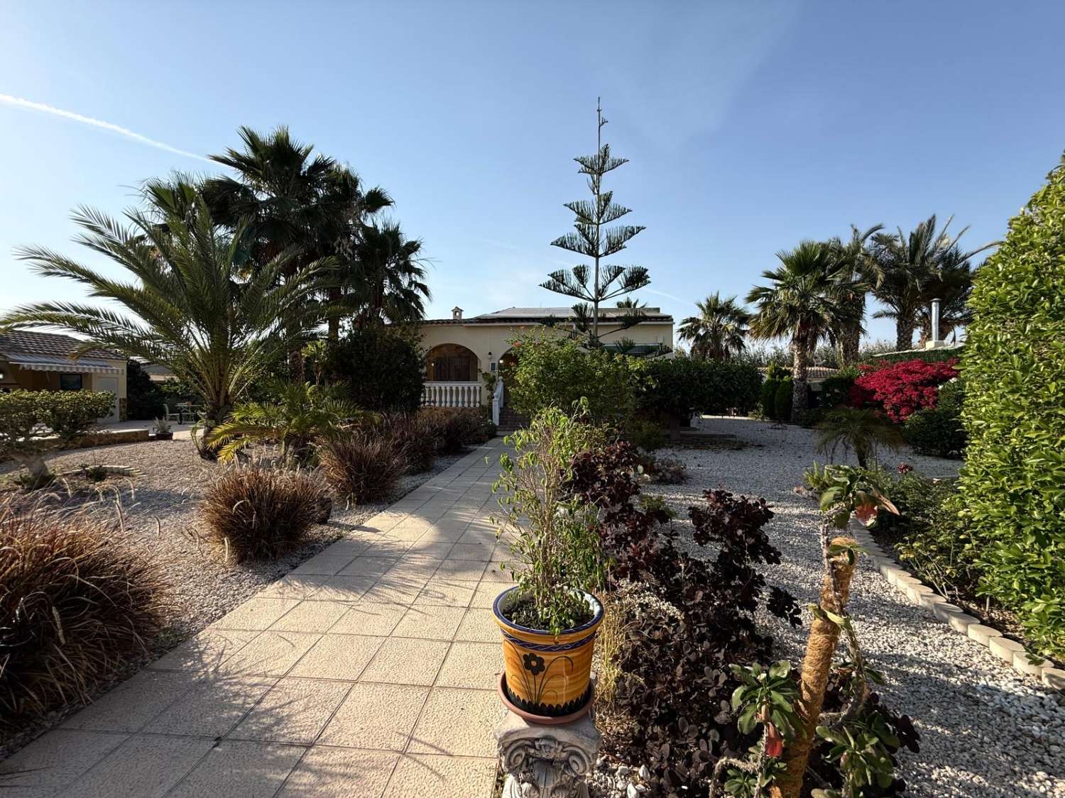FRITLIGGENDE VILLA I CATRAL GRUND 1800M2 MED POOL