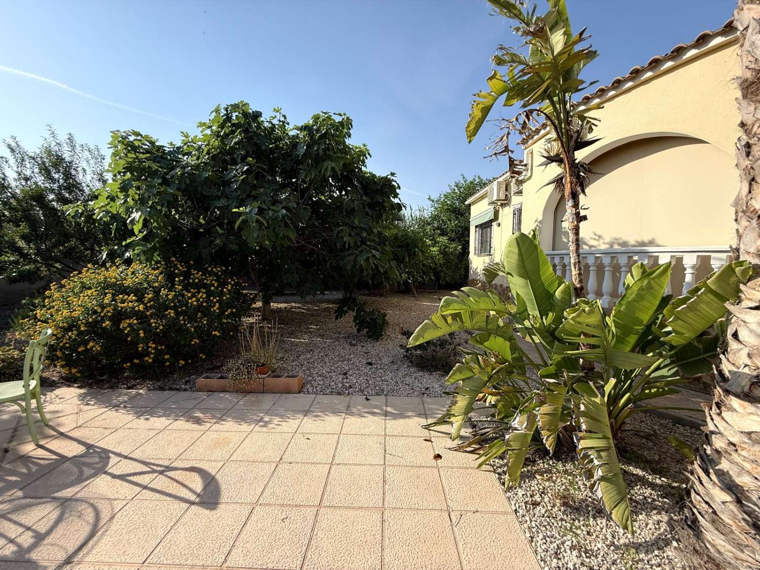 FRITLIGGENDE VILLA I CATRAL GRUND 1800M2 MED POOL