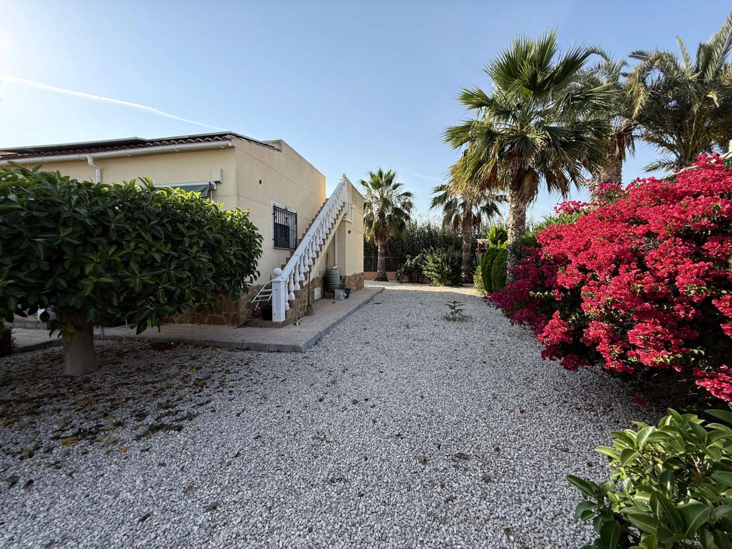 FRITLIGGENDE VILLA I CATRAL GRUND 1800M2 MED POOL