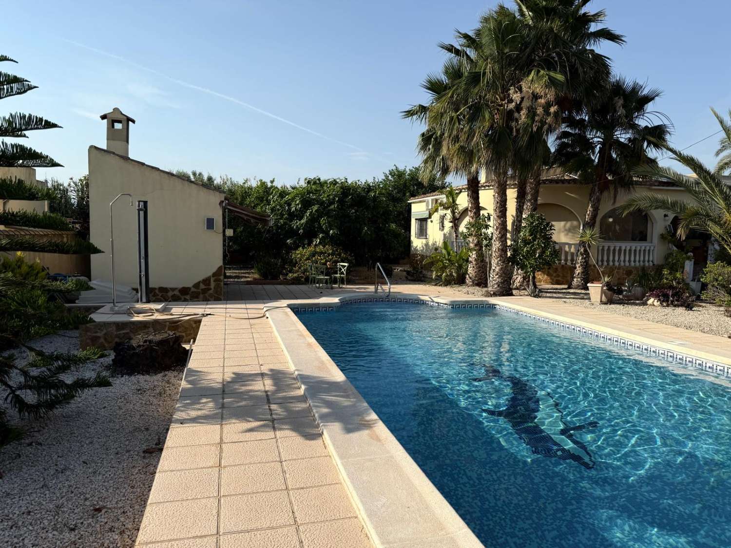 FRITLIGGENDE VILLA I CATRAL GRUND 1800M2 MED POOL