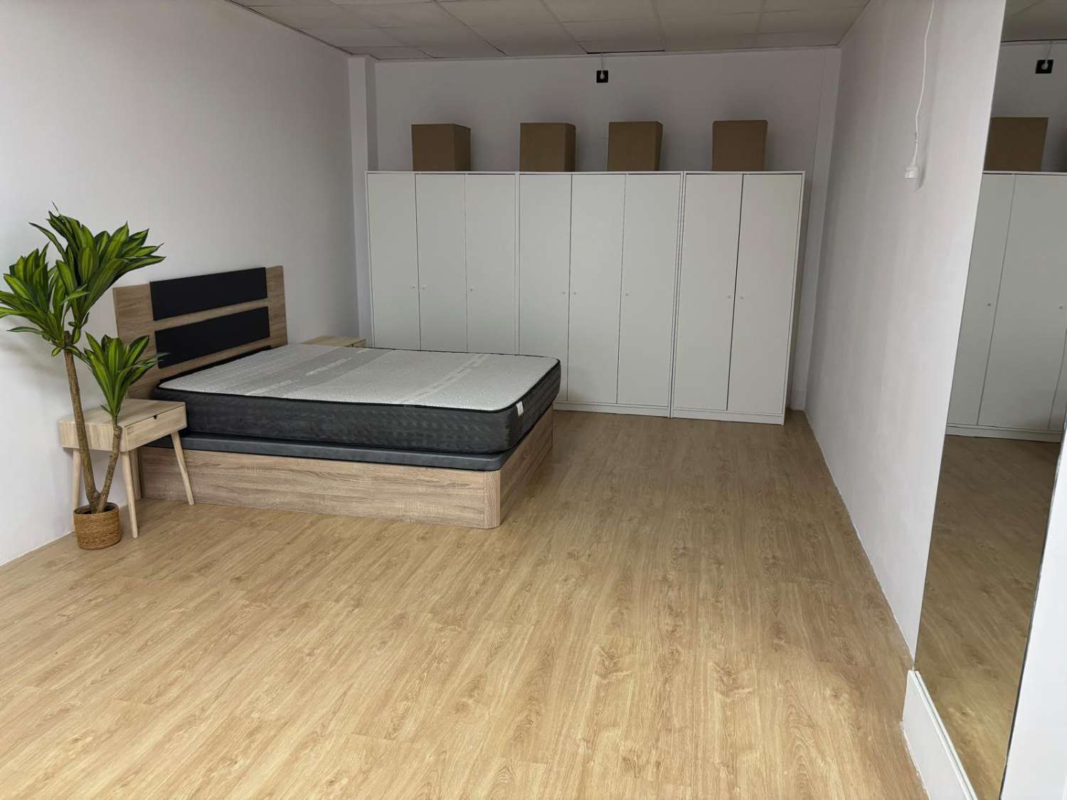 STUDIO IN CENTRO TORREVIEJA