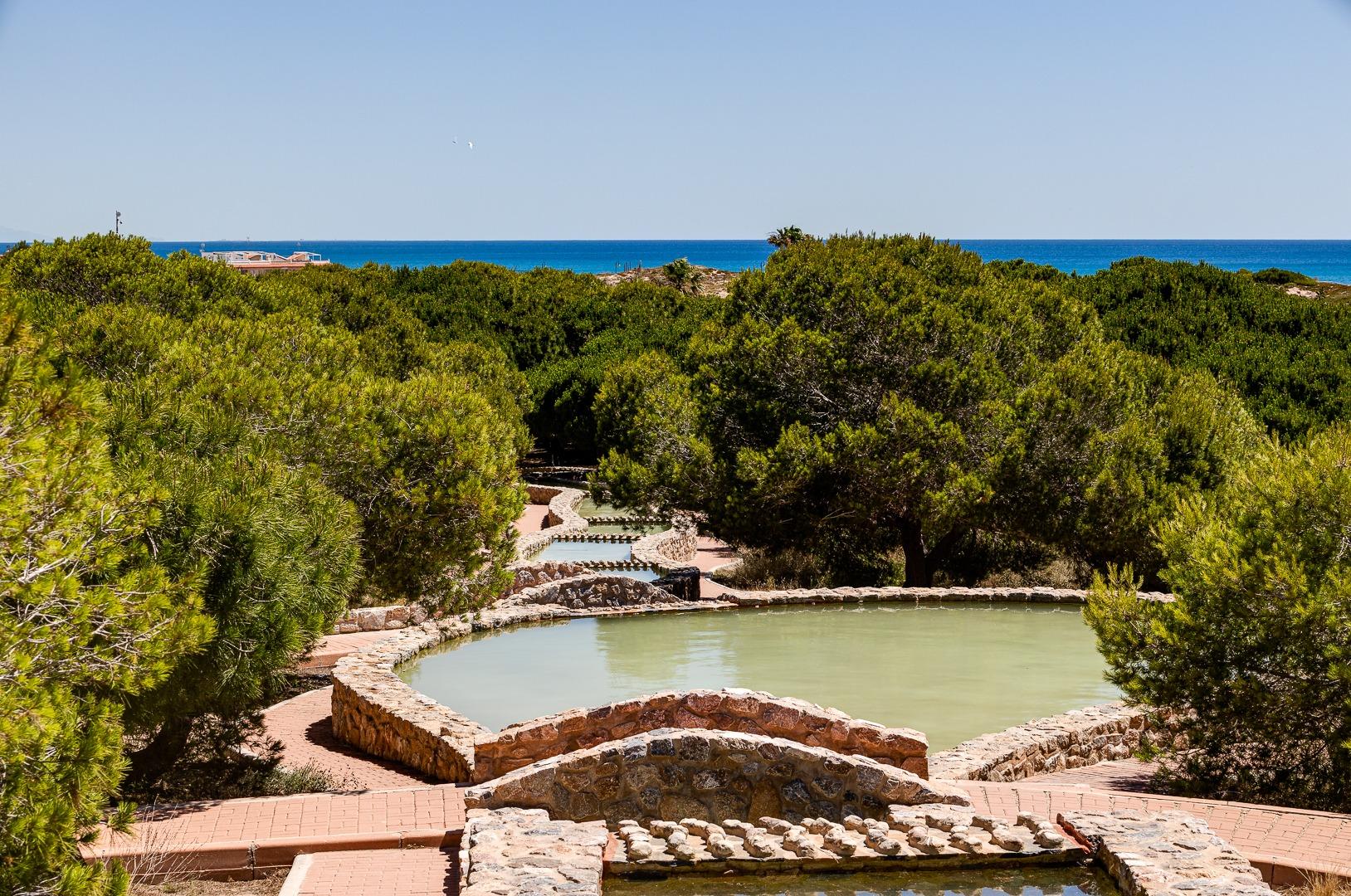 Apartmán v prodeji in Torrevieja